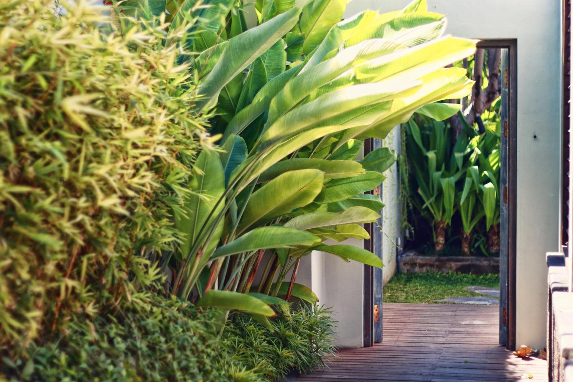 Hu'U Villas Seminyak  Bilik gambar